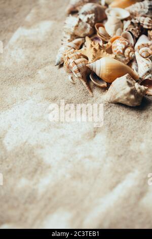 Plusieurs belles coquillages sur le sable avec place pour le texte. Banque D'Images