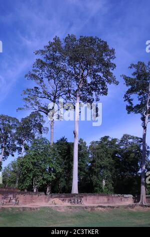 Pendant la pandémie du coronavirus, les temples d'Angkor sont désertés, ici les ruines vides de Banteay Srei attendent le retour des touristes. Parc archéologique d'Angkor, province de Siem Reap, Cambodge. 20 juin 2020. © Kraig Lieb Banque D'Images