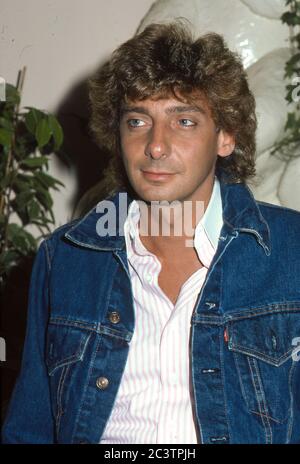 Barry Manilow rencontre la presse à Londres avant son concert au Palais de Blenheim le 27 août 1983 Banque D'Images