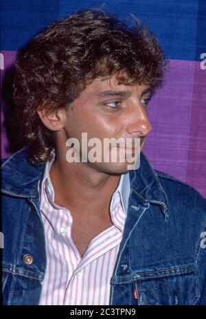 Barry Manilow rencontre la presse à Londres avant son concert au Palais de Blenheim le 27 août 1983 Banque D'Images