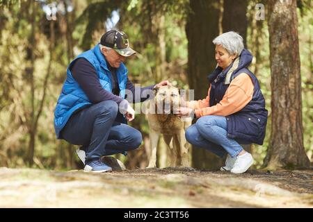 Portrait complet d'un couple senior actif qui pète un grand chien tout en faisant une randonnée dans une belle forêt éclairée par la lumière du soleil Banque D'Images