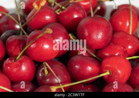 Gros plan de cerises mûres avec tiges. Fond de cerises rouges fraîches. Mise au point douce Banque D'Images