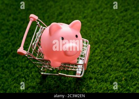 Chariot avec piggy Bank piggy sur fond d'herbe verte. Concept de shopping d'été ou d'économie d'argent. Banque D'Images