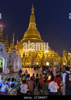 dh Shwedagon Pagode temple YANGON MYANMAR peuple birman temples bouddhistes nuit Grand Dagon Zedi Daw stupa d'or Banque D'Images