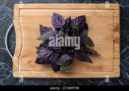 Bouquet de feuilles de basilic violets frais sur le panneau de bois Banque D'Images