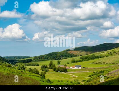 Ferme dans la vallée au soleil, Lammermuir Hills, East Lothian, Écosse, Royaume-Uni Banque D'Images