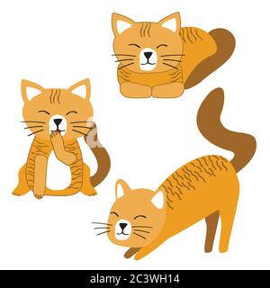 Jeu de dessins de chat ou de chaton. Illustration de jolis chats. Illustration de Vecteur