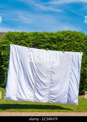 Une double couette humide, pendante pour sécher sur une ligne de lavage dans un jardin / cour au soleil, avec une couverture de conifères dans le fond, contre le ciel bleu. Banque D'Images