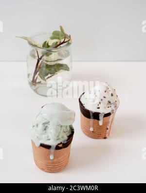 Faire fondre la glace à la menthe et à la vanille dans des tasses à gaufres émaillées de vert chocolat dans une bouteille en verre sur fond. Photo de haute qualité Banque D'Images