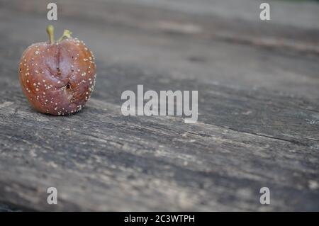 Une pomme oubliée gâtée se trouve sur un fond en bois gris Banque D'Images