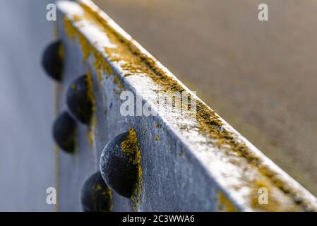 Gros plan de la surface métallique d'un pont de pilier avec rivets en saillie et mousse recouverts, mise au point sélective. Banque D'Images