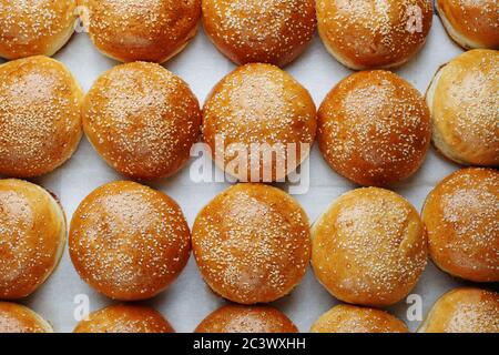 beaucoup de petits pains à hamburger vides. Vue de dessus. Photo de concept Banque D'Images