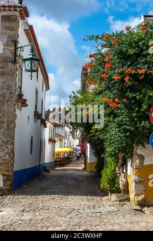 Vue sur une rue pavée étroite dans le village médiéval d'Obidos, Portugal Banque D'Images