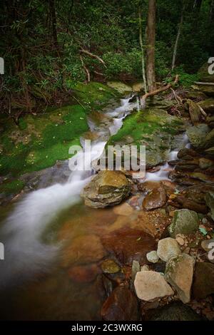 Petite cascade dans la forêt nationale de Pisgah, NC. Banque D'Images