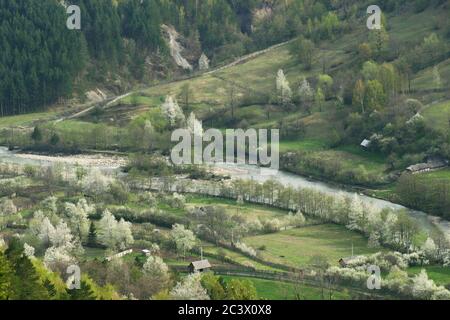 Magnifique paysage de printemps sur la vallée de la rivière Putna dans le comté de Vrancea, Roumanie Banque D'Images