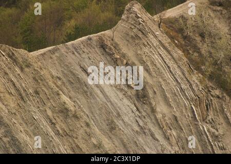 Côté de montagne érodé dans le comté de Vrancea, Roumanie Banque D'Images