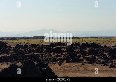 Chameaux traversant le désert de Danakil, région d'Afar, Éthiopie Banque D'Images