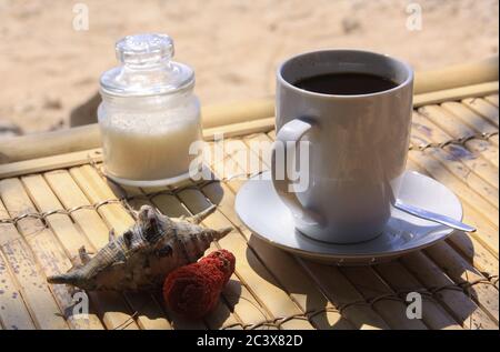 Café, sucre, coquillages et corail sur la plage tropicale ensoleillée en plein jour, sur l'île de Gili Air, Lombok, Indonésie Banque D'Images