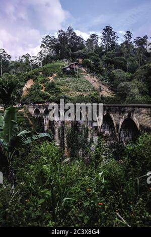 Magnifique paysage surplombant la construction de chemin de fer de Nine Arch Bridge. Vue incroyable à Demodara sur le pont emblématique du viaduc près de la petite ville d'Ella Sri Lanka Banque D'Images