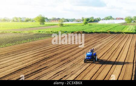 Un agriculteur sur un tracteur traite un champ de ferme. Cultiver le sol pour poursuivre la plantation. Desserrage, amélioration de la qualité du sol. Production alimentaire sur végétative Banque D'Images