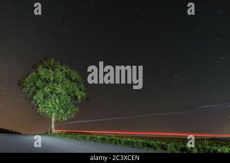 Ciel étoilé en été avec un arbre illuminé de traces de lumière sur une rue, l'Allemagne Banque D'Images