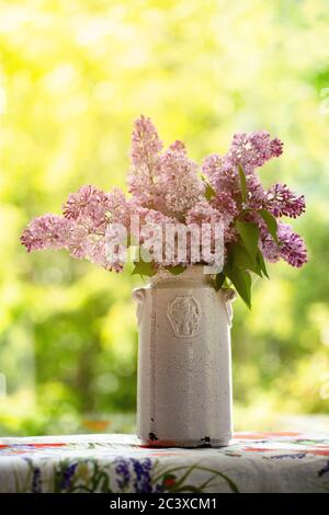 Lilas du jardin. Banque D'Images