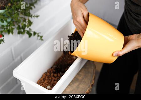 Mains mettant le sol sur les cailloux d'argile à l'intérieur blanc pot de fleur rectangulaire. Conception d'idées de potage et rempotage, gros plan Banque D'Images