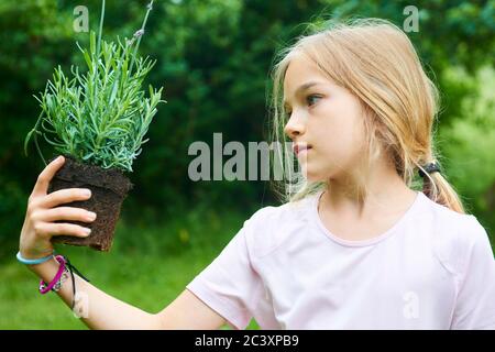 Enfant fille tenant une plantule de lavande prête à être plantée dans le sol. Un petit jardinier attend avec impatience de planter une fleur. Banque D'Images