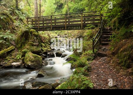 Une passerelle en bois au-dessus de Birker Beck, sur le chemin jusqu'aux chutes Stanley Ghyll à Eskdale, dans le district de English Lake Banque D'Images