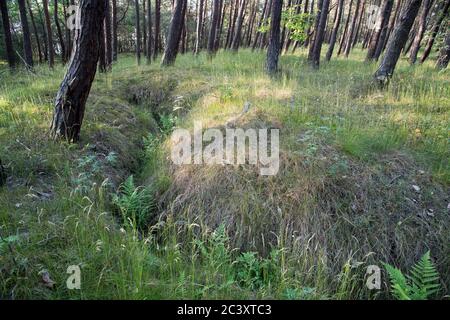 Ancienne position défensive allemande nazie construite en 1945 à Piaski sur Vistule Spit, Pologne. 12 juin 2020 © Wojciech Strozyk / Alamy stock photo Banque D'Images