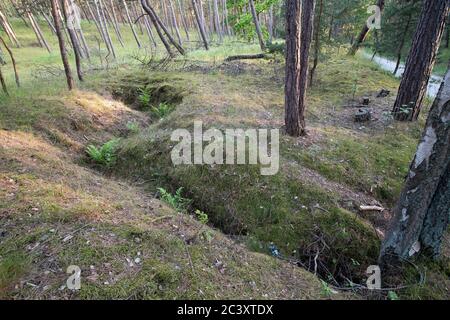 Ancienne position défensive allemande nazie construite en 1945 à Piaski sur Vistule Spit, Pologne. 12 juin 2020 © Wojciech Strozyk / Alamy stock photo Banque D'Images