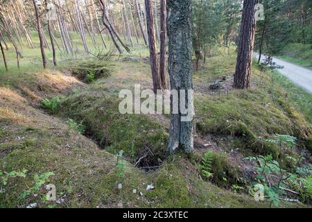 Ancienne position défensive allemande nazie construite en 1945 à Piaski sur Vistule Spit, Pologne. 12 juin 2020 © Wojciech Strozyk / Alamy stock photo Banque D'Images