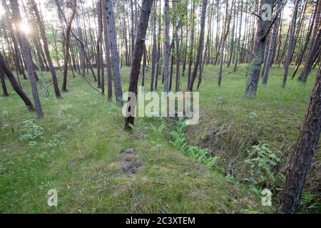 Ancienne position défensive allemande nazie construite en 1945 à Piaski sur Vistule Spit, Pologne. 12 juin 2020 © Wojciech Strozyk / Alamy stock photo Banque D'Images