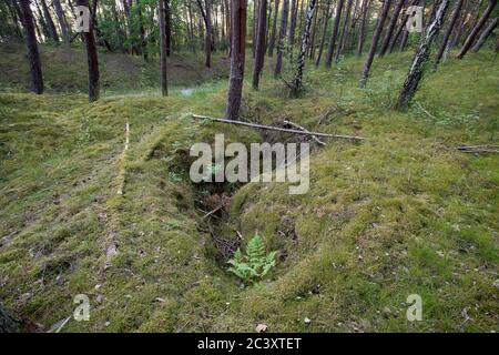 Ancienne position défensive allemande nazie construite en 1945 à Piaski sur Vistule Spit, Pologne. 12 juin 2020 © Wojciech Strozyk / Alamy stock photo Banque D'Images