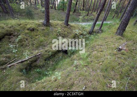 Ancienne position défensive allemande nazie construite en 1945 à Piaski sur Vistule Spit, Pologne. 12 juin 2020 © Wojciech Strozyk / Alamy stock photo Banque D'Images