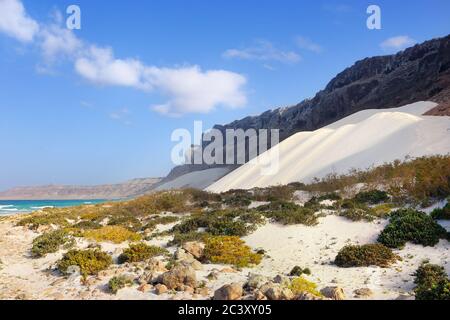 Les grandes dunes de sable blanc d'Archer, île de Socotra, Yémen Banque D'Images