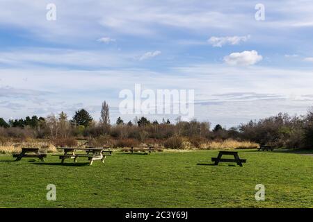 Tables de pique-nique sur pelouse verte dans le magnifique parc rural Terra Nova Richmond Colombie-Britannique au printemps. Banque D'Images