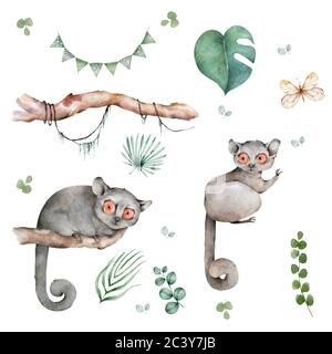 Souris Lemur faune avec fleurs tropicales dessin main aquarelle illustration isolée sur fond blanc Banque D'Images