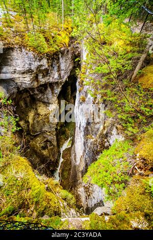 Les eaux agitées du canyon Maligne qui traversent le canyon Maligne profond dans le parc national Jasper, Alberta, Canada Banque D'Images