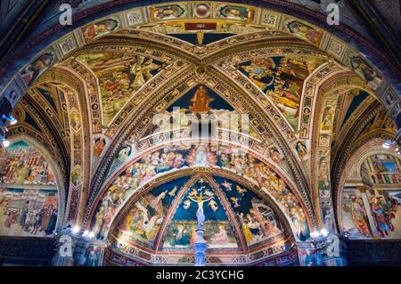 Sienne, Italie - VERS 2013: Baptistère de Saint Jean (Battistero di San Giovanni) plafond intérieur dans le complexe de la cathédrale de Sienne. Banque D'Images