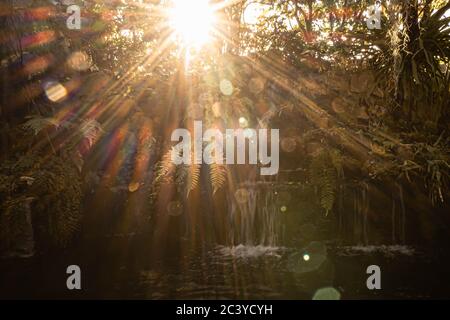 Image style hippster filtre rétro d'une cascade tropicale aux rayons du soleil. Cascade avec rayons du soleil Banque D'Images