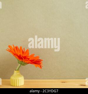 Gerbera orange sur une table en bois avec fond kaki. Décoration florale, espace pour le texte Banque D'Images
