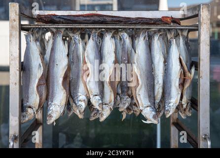 Des sardines d'eau douce suspendues au sèche-linge pour sécher au soleil le long des rives du lac Banque D'Images
