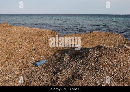 Bouteille en plastique abandonnée sur la côte. Déchets plastiques en mer, problème de pollution en Méditerranée. Réserve naturelle en Sicile Banque D'Images