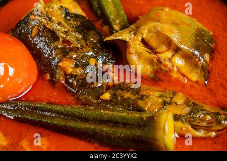 Poisson-chat avec sauce au curry épicée et légumes Banque D'Images