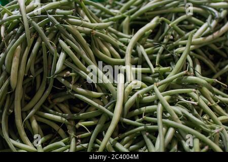 Collecte de haricots verts dans une cassette de légumes sur le marché. Haricots verts frais Banque D'Images