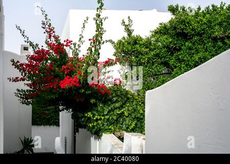 Stromboli île architecture populaire. Îles Eoliennes en Sicile (Italie) Banque D'Images
