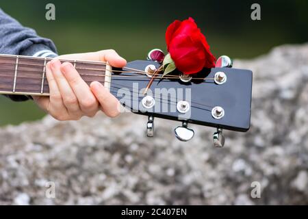 Gros plan de la tête de guitare décorée de rose rouge Banque D'Images