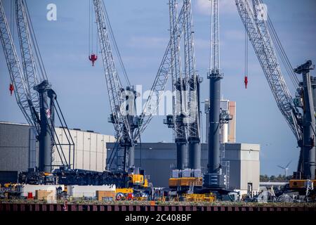 Rostock, Allemagne. 15 juin 2020. Des grues mobiles sont situées dans les locaux du fabricant de grues Liebherr-MCCtec Rostock, dans le port maritime. Fondée en 2002, la succursale de Liebherr emploie aujourd'hui environ 1,500 personnes et continue de s'étendre. Credit: Jens Büttner/dpa-Zentralbild/ZB/dpa/Alay Live News Banque D'Images