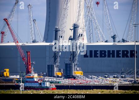 Rostock, Allemagne. 15 juin 2020. Des grues mobiles sont situées dans les locaux du fabricant de grues Liebherr-MCCtec Rostock, dans le port maritime. Fondée en 2002, la succursale de Liebherr emploie aujourd'hui environ 1,500 personnes et continue de s'étendre. Credit: Jens Büttner/dpa-Zentralbild/ZB/dpa/Alay Live News Banque D'Images